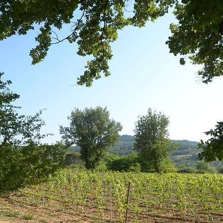 Le Petit Bacalan Villa Mormoiron Bagian luar foto