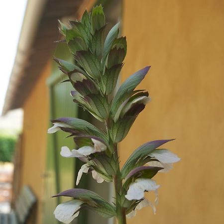 Le Petit Bacalan Villa Mormoiron Bagian luar foto