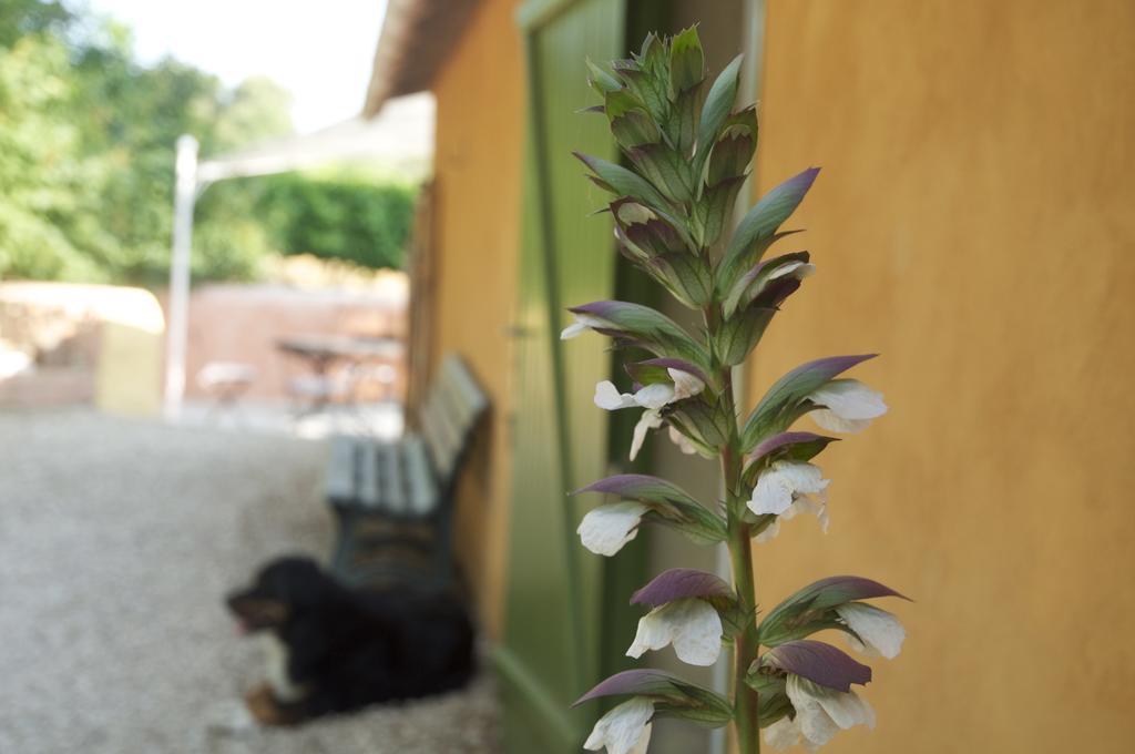 Le Petit Bacalan Villa Mormoiron Ruang foto