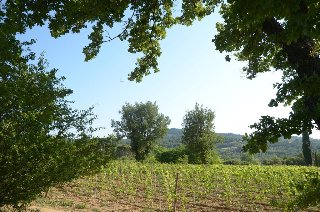 Le Petit Bacalan Villa Mormoiron Bagian luar foto