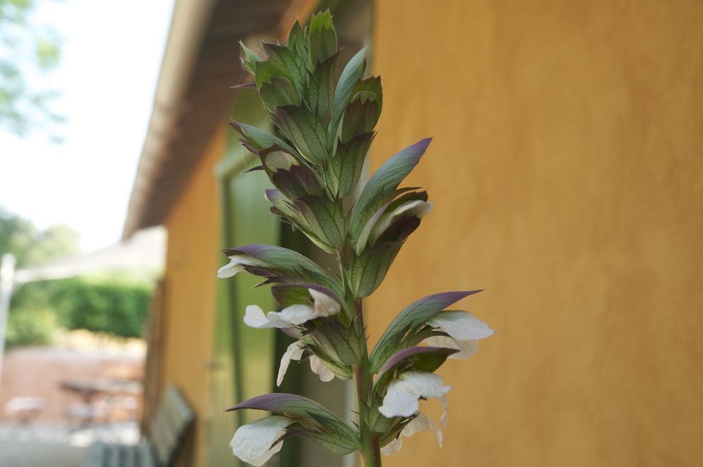 Le Petit Bacalan Villa Mormoiron Bagian luar foto