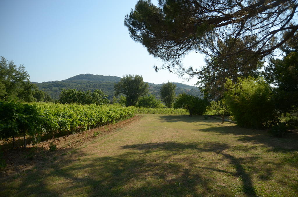 Le Petit Bacalan Villa Mormoiron Ruang foto