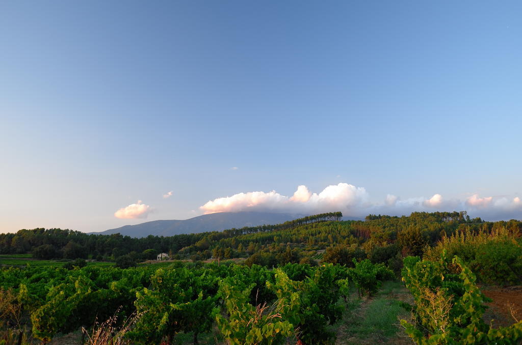 Le Petit Bacalan Villa Mormoiron Ruang foto
